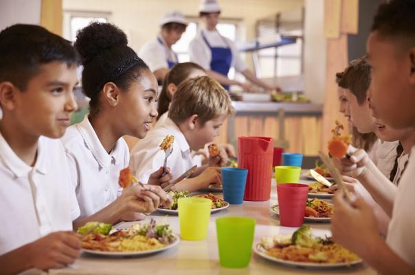 cornwall public local food procurement care homes schools